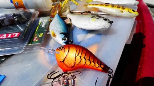Boat & Tackle Prep for TOURNAMENTS! Spring Is Here!