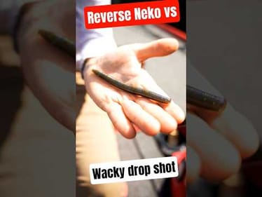 The WACKY Worm Drop Shot Rig Hack
