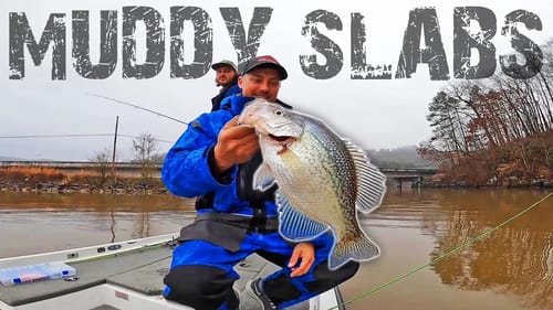 Crappie Fishing MUDDY LAKE GUNTERSVILLE for BIG SLABS! So Much Rain!