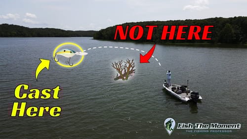 Why Anglers Fail to Catch Bass On Deep Diving Crankbaits