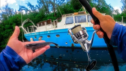 We Caught a GIANT || Fish Destroy This Lure!