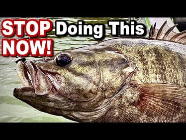 Can You REALLY Catch More Fish With This Jig Head Minnow Trick?