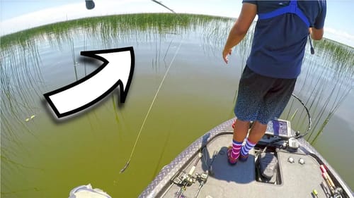When I HATE to LOVE FISHING for Bass on Lake OKEECHOBEE
