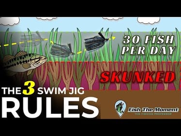 20 Years of Swim Jig Fishing taught me this…