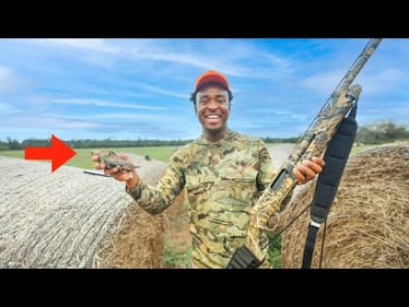 Opening Day of Dove Season (Birds Everywhere!)