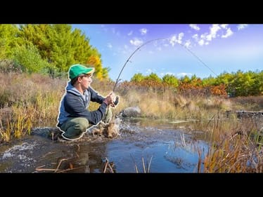 BACKWOODS Fishing Mission on a REMOTE CREEK! (Chasing AGGRESSIVE Fish)