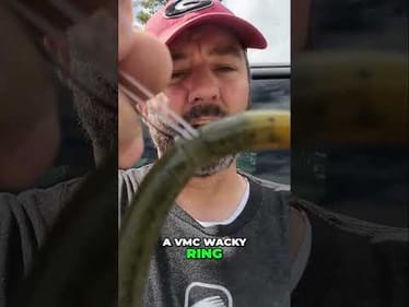 Pro Fishing Tips: Master Hook & Bait Rigging for More Catches!