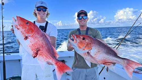 Red Snapper Fishing In The Gulf Of Mexico! (GIANTS)