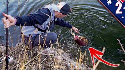 HUNTING the LEGENDARY Australian Fish With BIG BAITS (BUCKET LIST FISH)