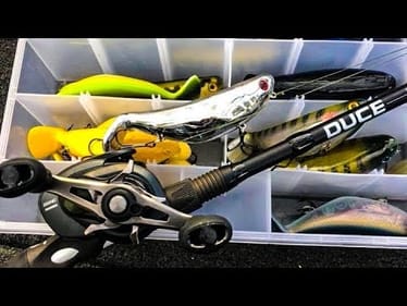 LITERALLY the BEST Shallow Water Bass Fishing SECRETS Video