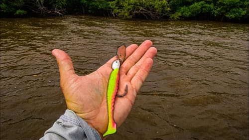Crazy Lure Combo Catches NEW PB While Fishing Insanely Dirty Saltwater