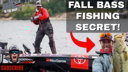 Fall Bass Fishing SECRET!