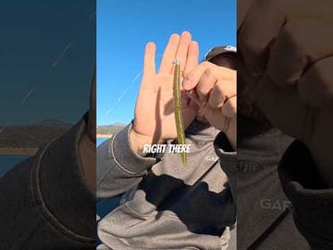 This rig gets bit when others don’t 👉 Watch now #bassunion #bassunionjigs #bassunionguideservice