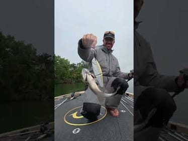 Some bass are crazy 😂