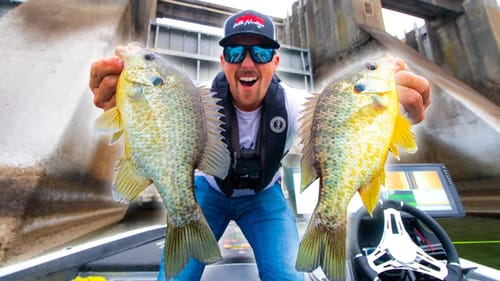 Fishing BIG DAM and Catching GIANT Bluegill! (AMAZING)