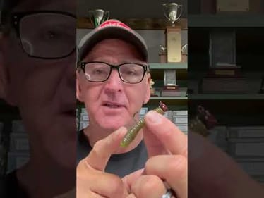 The Sperm Rig Catches Loads Of Bass