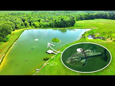 Strapping a Tiny Camera on a Bass! (Underwater Footage)