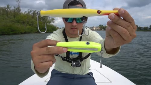 The Hunt for a River Monster - Part One
