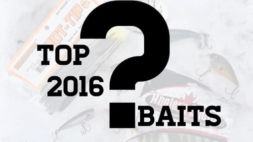 Top 5 Baits of 2016 | Ladybass