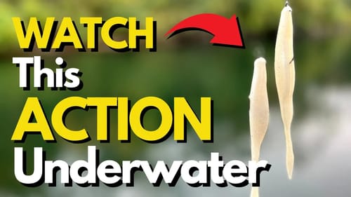 POWERFUL Presentation to Find Bass | Bass Fishing Tips