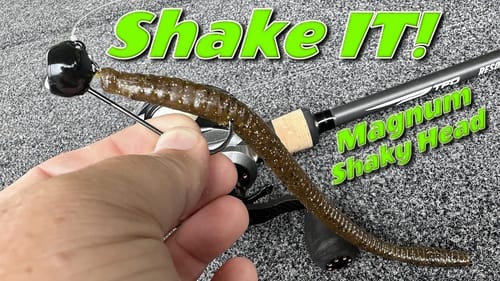 When Everyone is Dragging a Jig Shake It Instead