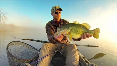 Foggy Morning Bass And Pike