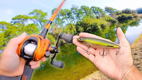The BEST Summer Fishing Days EVER!