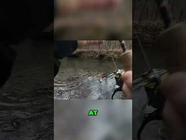 Catching Fish: Exciting Moments & Rainbow Trout Surprise! #shorts