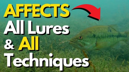 The Key to ALL Bass Fishing | Bass Fishing Tips