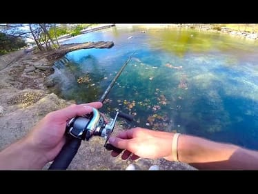 These Fish Are TOUGH!