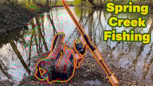 The SUNFISH are BACK!!