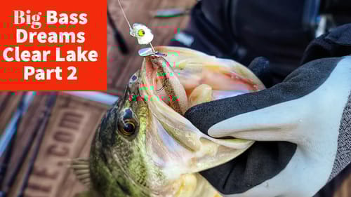 Cold Front Bass Fishing - Big Bass Dreams Clear Lake 2020 Part 2