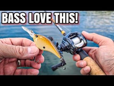 Fall Bass CRUSHED This Crankbait (CRAZY DAY)