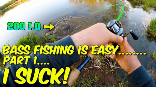 Bass Fishing is EASY...  200 I.Q. Bass vs fishermen  BFS fishing.