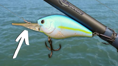 TRULY One Of The BEST WAYS To Catch BIG BASS All Year