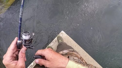 The Things I'll Do To Catch A Few Bass