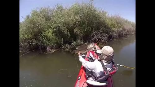 Bass Fishing with Weightless Senko (7lb Bass)
