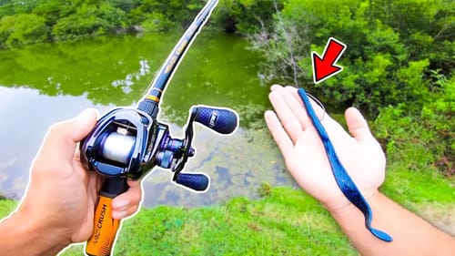 Searching for GIANT Bass w/ BIG Worms! (Pond Fishing)