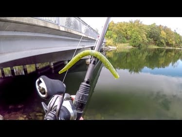 Wacky Wormin' Shore Smallies