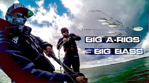 Why You Should Add Umbrella Rigs to Your Big Swimbait Game
