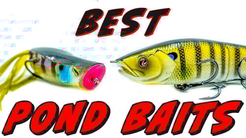 Pond Fishing For Bass: 5 Tips To Catch More Fish!