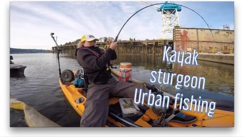 Giant sturgeon fishing! (in the kayak)