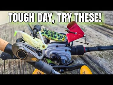 Summer Bass Fishing | BUZZ FROG & SWIM JIG