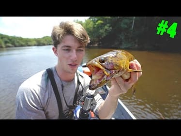 This Vicious Fish Will BITE You!