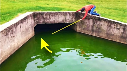 MONSTER FISH caught from CITY SEWER!! (STRANGE)