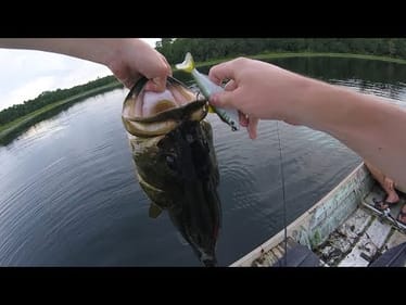 My "BIGGEST FISH EVER!"