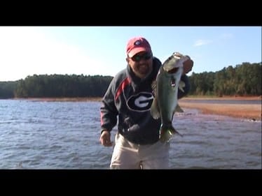 Finding Fish Fast