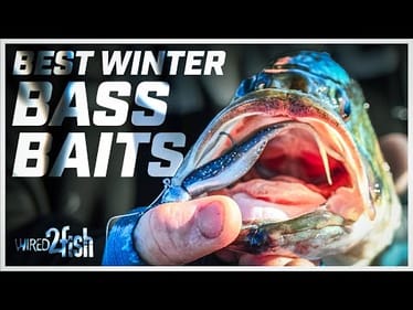 Deep Winter Bass | Best Baits, Tactics, and Sonar Tips