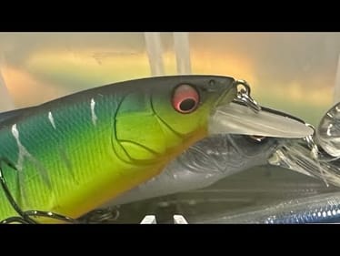 The “Mongo” Jerkbait Technique…Watch It Here First…