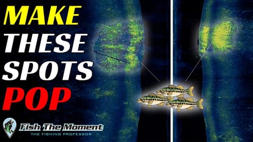 This Fish Finder HACK Can Make or Break Your Success Offshore | Bass Fishing Electronics